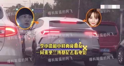 闺蜜爆料小鲜肉视频大全,小鲜肉视频大全，揭秘娱乐圈幕后真相