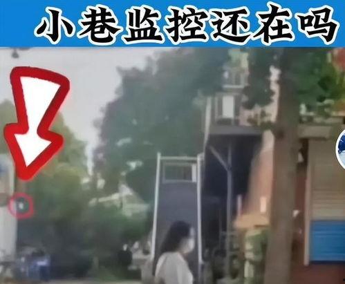 唐山女孩爆料视频最新,揭开校园暴力背后的真相