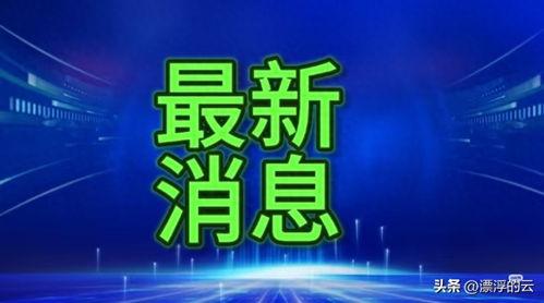 消息新闻爆料,揭秘新闻背后的惊人真相