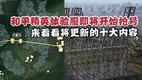 和平精英爆料白姐姐视频