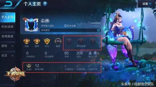 王者真神英雄爆料视频,英雄爆料视频深度解析