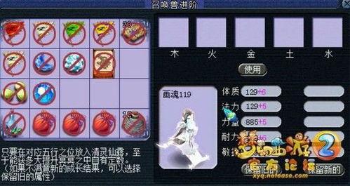 百兽瓶子爆料视频大全,揭秘动物界的秘密生活