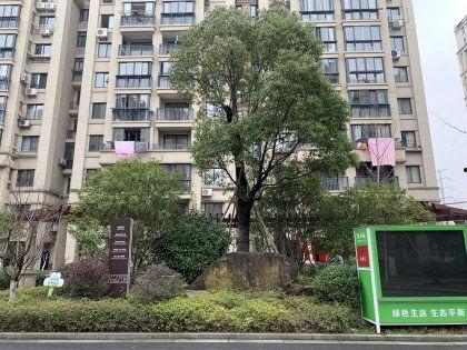 施家园最新爆料,揭秘娱乐圈惊天秘密