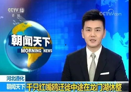 遵化建龙最新爆料新闻,揭秘企业转型与市场动态