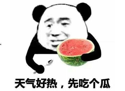 回复吃瓜表情包图片,表情包背后的趣味故事